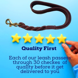 Leather Short Dog Leash 15 Inch - Short Dog Traffic Lead for Large Dogs Training and Walking - Braided Leather Dog Tab for Large Dogs - Full Grain Heavy Duty Leather (Brown)