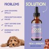 Dog Coughing Remedy - Kennel Cough - Dog Allergy Relief