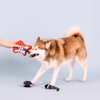 Fringe Studio Plush Dog Toy Set, Ready to Rock, 3