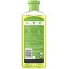 Herbal Essences Tea-Lightfully Clean Refreshing Shampoo 11.7 oz