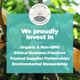 Navitas Organics Cacao Goji Superfood+ BITES – Power Snacks – All Natural Plant Based – Clean Energy & Nutrition – USDA Organic, Non GMO, Gluten Free, Soy Free, Kosher, Vegan (8oz. Bag 11 Servings)