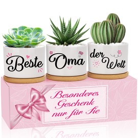 Best Grandma in the World Flower Pots - Gifts for Grandma for Birthday, Mother's Day, Christmas from Granddaughter and Grandson