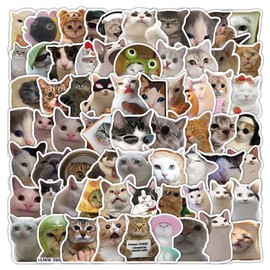 100Pcs Funny Cat Stickers, Waterproof Vinyl Cat Meme Stickers, Cool Kitten Aesthetic Sticker, Joke Emoji Sticker for Water Bottle, Laptop, Phone, Skateboard, for Teens Girls Kids