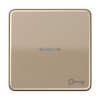 Jung CD590KO5TGB Wippe mit Symbol Door Ko