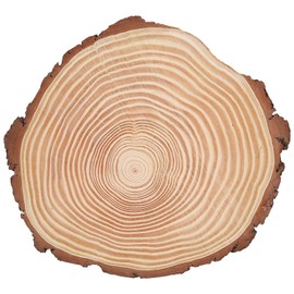Natural Wood Slices Unfinished Wood Circles Ornaments Irregular Wood Slices with Bark29x26cm/11.4x10.2in