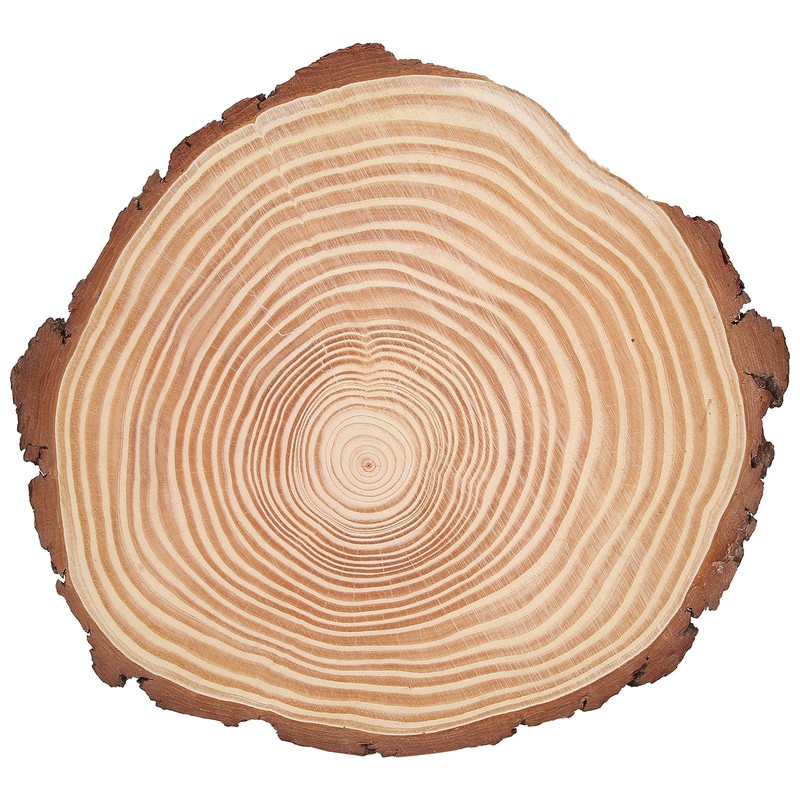 Natural Wood Slices Unfinished Wood Circles Ornaments Irregular Wood Slices