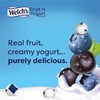 Welch's Blueberry-Acai Fruit 'n' Yogurt Snacks 5.6oz, one box