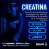 Creatina Monohidratada Birdman En Lata De 700 Gr