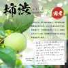 Magical Co., Ltd. Persimmon Sei Series (Mint Scent) (Fresh/Moist) (Refill
