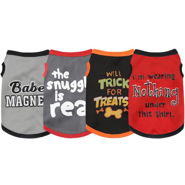 Elevate Your Pet's Seasonal Style with Playful Panache: 4-Piece Set