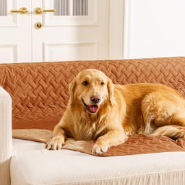 gogobunny 100% Double Sided Waterproof Dog Blanket Soft Pet Bed Cover Reversible Protect Furniture Couch Sofa Car for Puppy Cat Kids (Dark Pumpkin/Light Pumpkin, 68x82 Inch (Pack of 1))