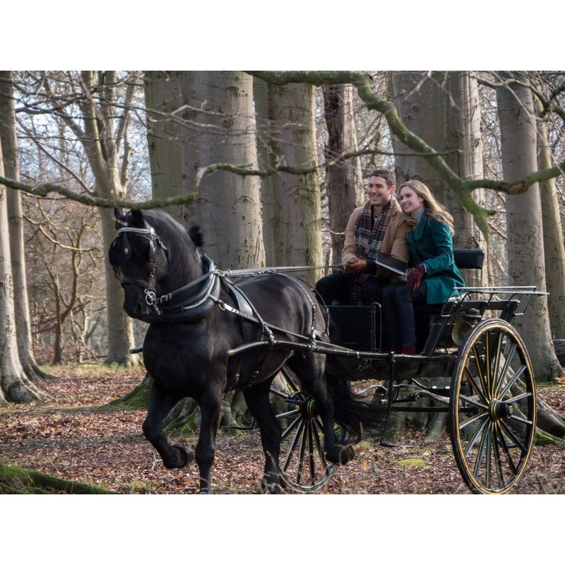 Mein perfektes Weihnachten