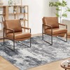 Area Rug Washable Rug 3x5: Small Modern Abstract Rug Anti-Slip