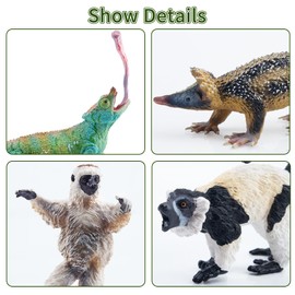 Toymany 12PCS Madagascar Animal Figurines Set, Realistic Jungle Animal Toys Set Includes Lemur, Chameleon, Tortoise,Gecko,Fossa,Sifaka -Educational Forest Animals Figure Toy Collection for Kids Adults