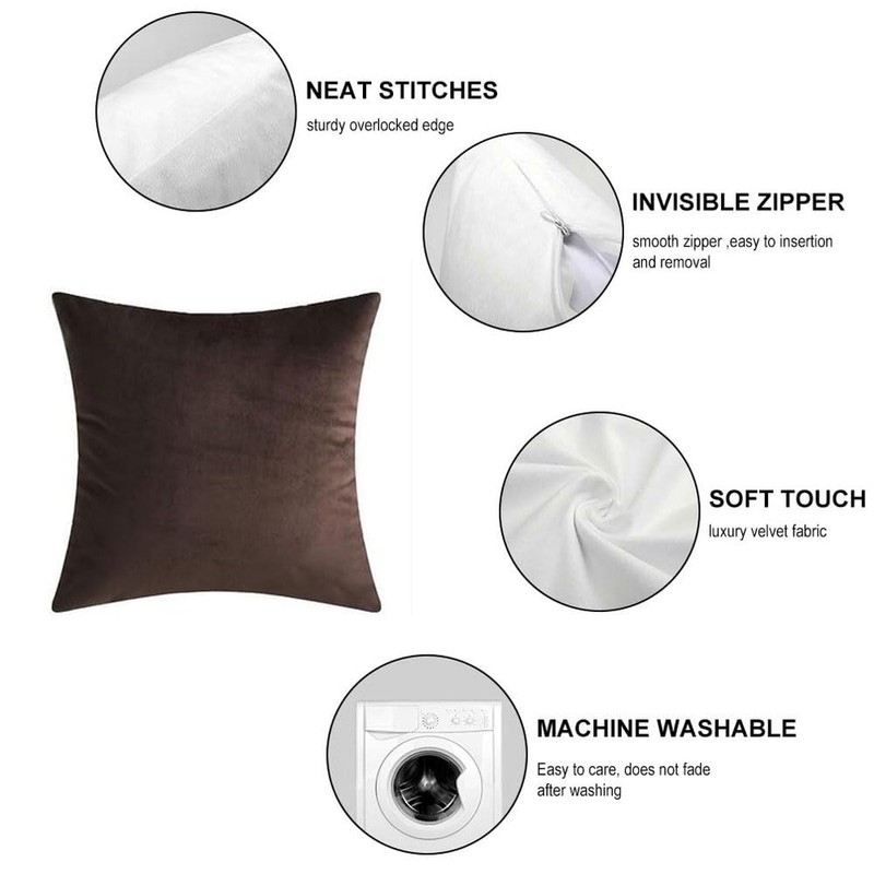 Andreannie Set of 4 Velvet Super Soft Comfortable Solid Decorative