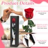 Eternal Rose Red Eternal Real Roses Infinity Roses Gift Box