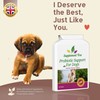 Probiotics for Dogs 120 Chicken Flavour Tablets - Advance Multi