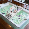 Zhuoyue Bamboo Bathtub Tray, Expandable Premium Bath Tray for Luxury