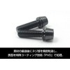 EGWORKS High Strength 64 Titanium Bolts ULTRA-Ti™ M5/16mm for Stem