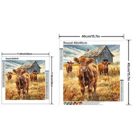 Cow Pattern DIY Diamond Arts Colorful Painting Kit without Frame, DIY 5D Diamond Arts Colorful Painting Kit, Wall Art Decor for Home:_Round 30x30cm_Cow