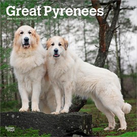 グレート・ピレニーズ 2026年 カレンダー / ブラウントラウト 輸入版 壁掛け 30.5 x 61 cm (Great Pyrenees Calendar)