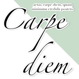 Azeeda 'Carpe Diem Seize The Day Latin Quote Poem Poetry' White Premium Vinyl Decal Sticker – Waterproof, Durable & Easy to Apply - Ideal for Car Bumpers, Windows, Bins and More (DW00163115)
