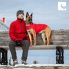 RC Pet Products Cascade Dog Coat, Essential All Weather Dog