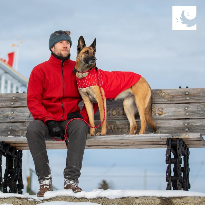 RC Pet Products Cascade Dog Coat, Essential All Weather Dog