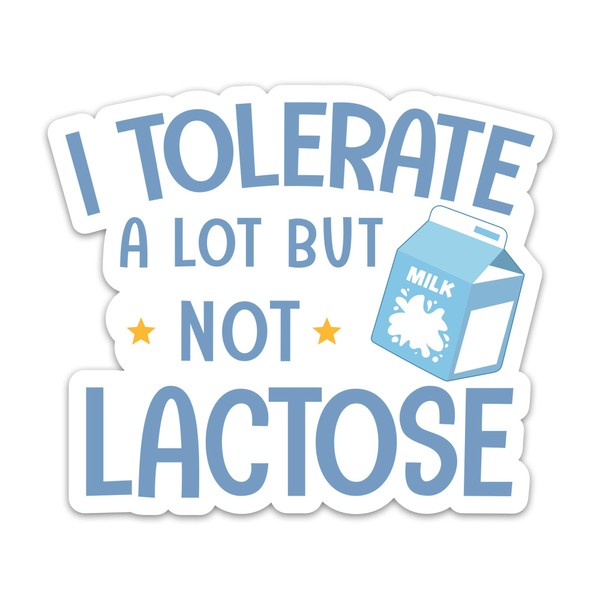 3PCs I Tolerate a Lot But Not Lactose Stickers, Funny