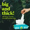 Goodwipes Flushable Butt Wipes Made with Vitamin E & Aloe