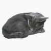 Magnet Grey Cat Sleeping Magnet Bumper Sticker Car Magnet Flexible
