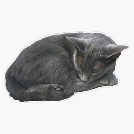 Magnet Grey Cat Sleeping Magnet Bumper Sticker Car Magnet Flexible Reuseable Magnetic Vinyl 5"
