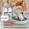 Slow Feeder Dog Bowl: The Slowdown Bowl is A Modern,