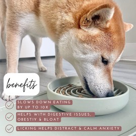 Slow Feeder Dog Bowl: The Slowdown Bowl is A Modern, Silicone Puzzle Bowl & Lick Mat. Slow Eating, Stop Gulping, Take It Easy. Dishwasher Safe. (Sage)