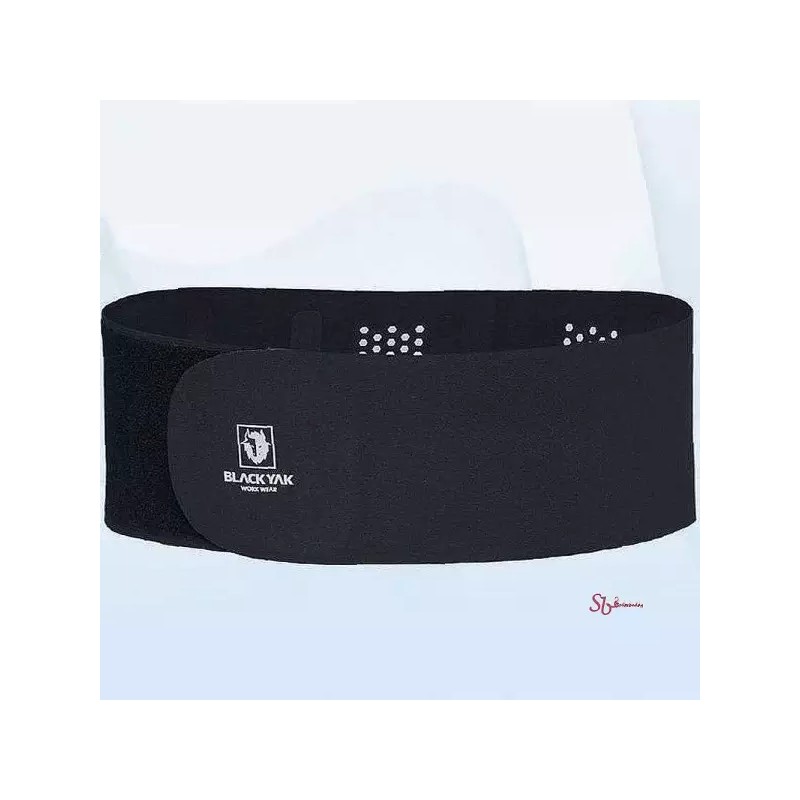 LMN 작업자용 허리 보호대lmn733 Back Support Belt for Workers Lmn733