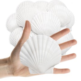 Lanwexy 25PCS Sea Shells Scallop Shells Natural White Sea Shells for DIY Craft Crafting,Painting,Baking,Home Decor and Beaching Wedding Decoration (6-8CM) Seashells Bulk