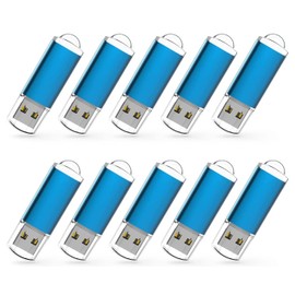 RAOYI 10 Pack 1GB 1G USB Flash Drive USB 2.0 Memory Stick Bulk Thumb Drive Pen Drive Blue