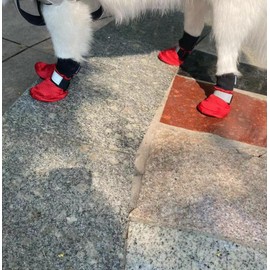 LONSUNEER Winter Paw Protector Dog Boots for Large Dogs, Waterproof Dog Booties, Dog Shoes Soft Sole and Nonslip Set of 4 Color Red Size Large