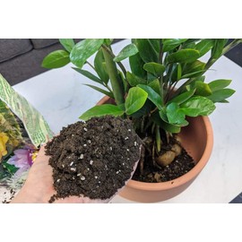 Organic ZZ Plant Soil Mix by Gardenera - Cultivate Elegance Excellence with Natural and Nutrient-Rich Formula - 5 Quart