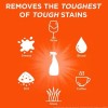 Tide Rescue Plus Oxi Laundry Stain Remover & Carpet Cleaning