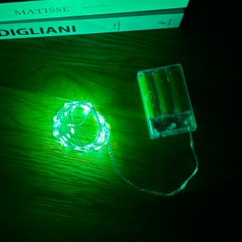 ZXWNAYL 2 Pack LED Copper String Fairy Lights Mini Battery Operated Lights Fairy Lights for Bedroom Fake Plants Gift Decorations Christmas Parties and Weddings.(30LED/10FT Green)