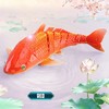 RC Shark Water Toy for Kids’ Pool Play – Remote