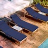 Tondiamo 2 Set Outdoor Chaise Lounge Cushions with Pillows and