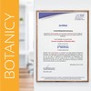 BOTANICY Curcuma Complete with Fenugreek - Contains 95% of all