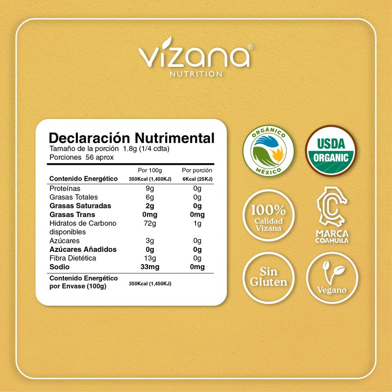 VIZANA NUTRITION | Jengibre Orgánico Certificado USDA en Polvo 200g