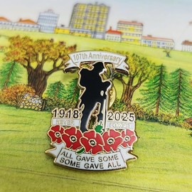 Poppy Badges and Pins 2025 Remembrance Day Lest We Forget Lapel Pin Brooch Decorations Gifts (1)