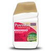 Bonide Pyrethrin Garden Insect Spray Concentrate, 16 oz Ready-to-Mix Fast