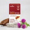 Meditree 메디트리 간건강엔 밀크씨슬 3박스 (3개월분) Meditree Liver Health Milk