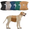 5Pack Dog Diapers Male,Leakproof Pet Dog Belly Band Wraps,Dog Diaper