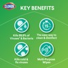 Clorox, Bleach Free Wipe, Fresh, 75 Count